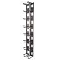 APC Cable Management Rack AR8442 for $308.00